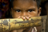 Food crisis ravages Indias poorest children.